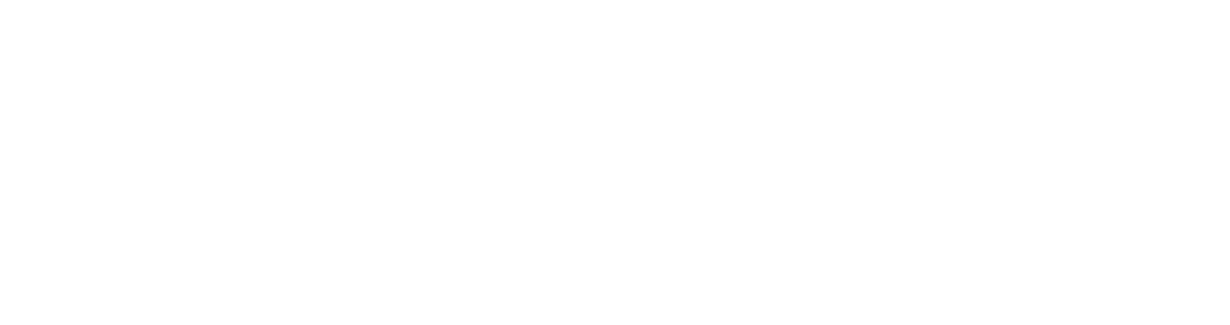 中国人保车主节